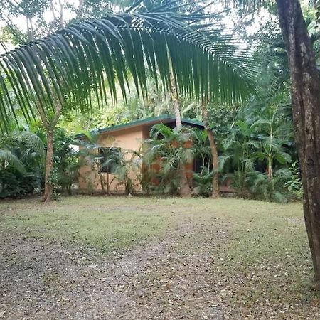 Nosara Paradise Rentals エクステリア 写真