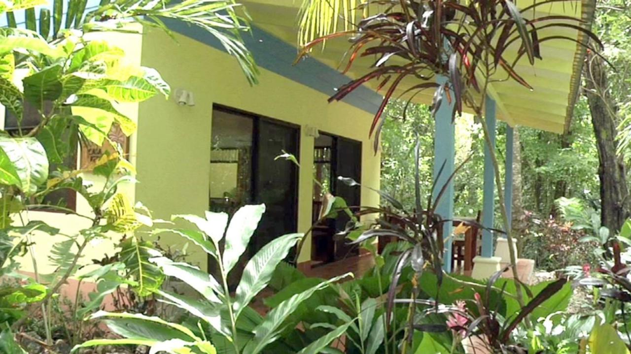 Nosara Paradise Rentals エクステリア 写真