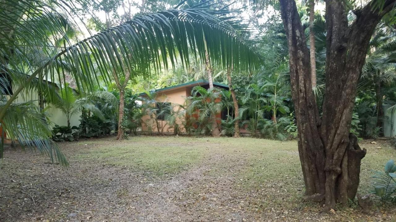 Nosara Paradise Rentals エクステリア 写真
